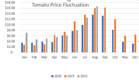 Tomato Prices to August 2023